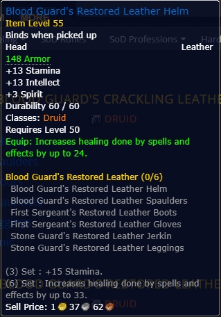 Blood Guard's Restored Leather Helm